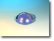 smallsmush4.jpg (8112 bytes)