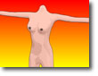 smalltoontorso.jpg (9044 bytes)